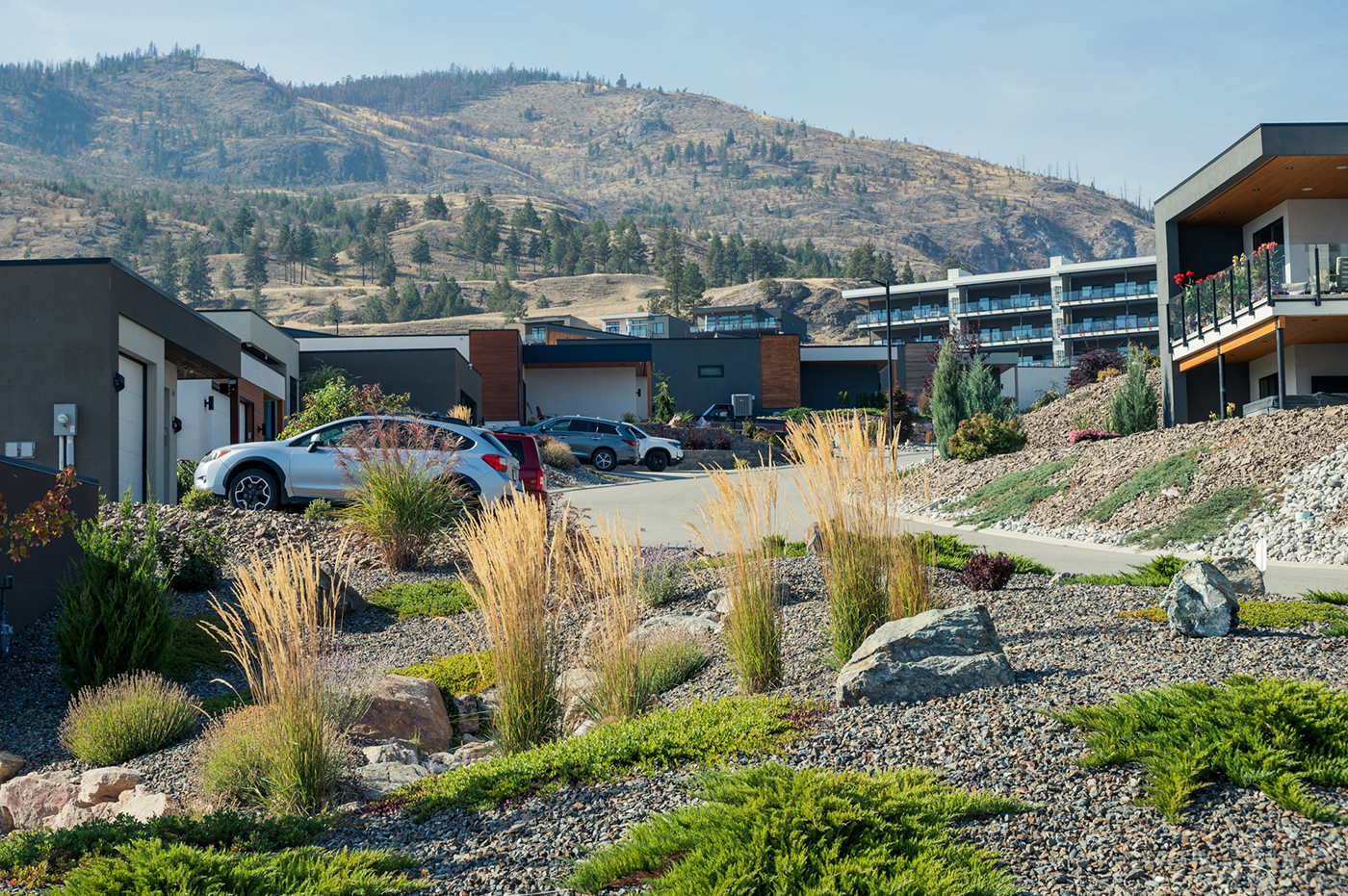A modern residential area with landscaped gardens, featuring grasses and rocks, set against a backdrop of mountains.