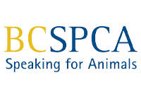 Local Marketing Kelowna