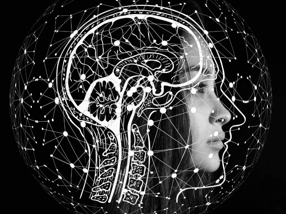 The Psychology Of Marketing