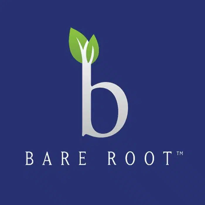 Kelowna Marketing Agency