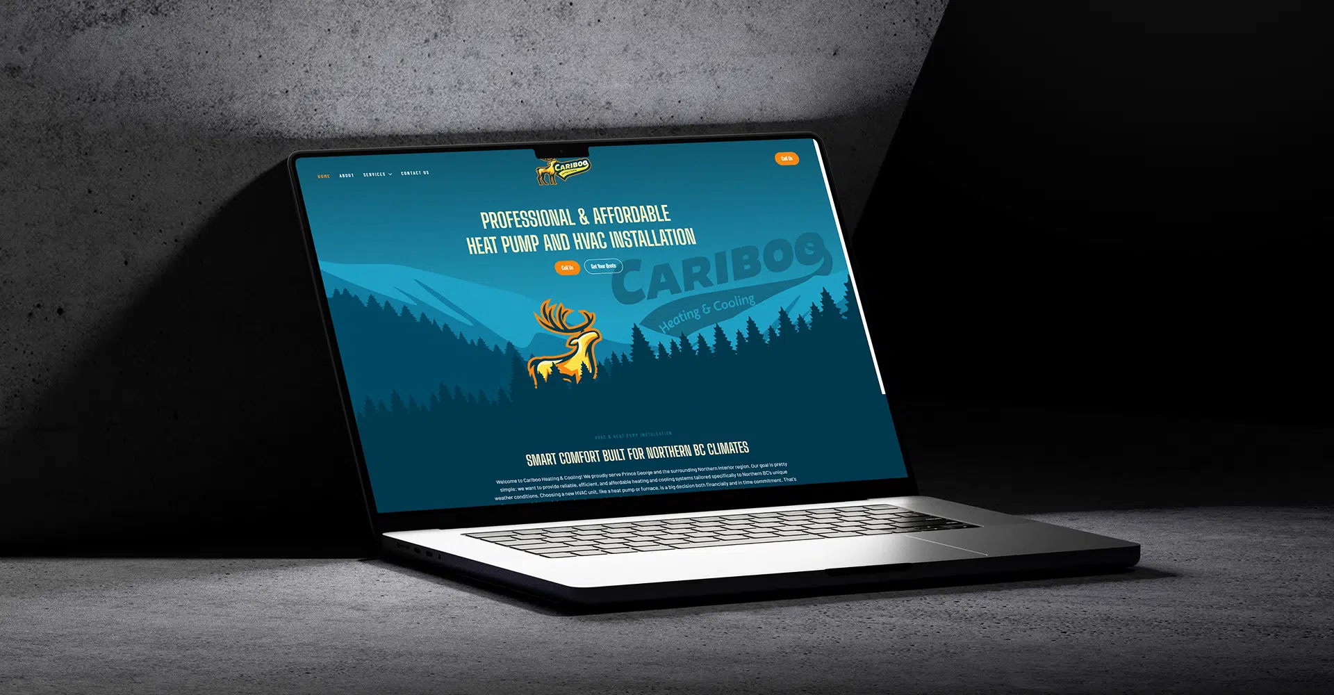 Cariboo Heating & Cooling